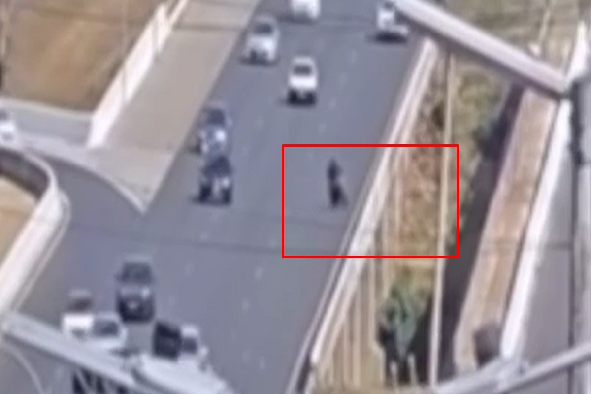 Câmera flagra pai e filho caindo no Lago Paranoá após bater em ponte no DF