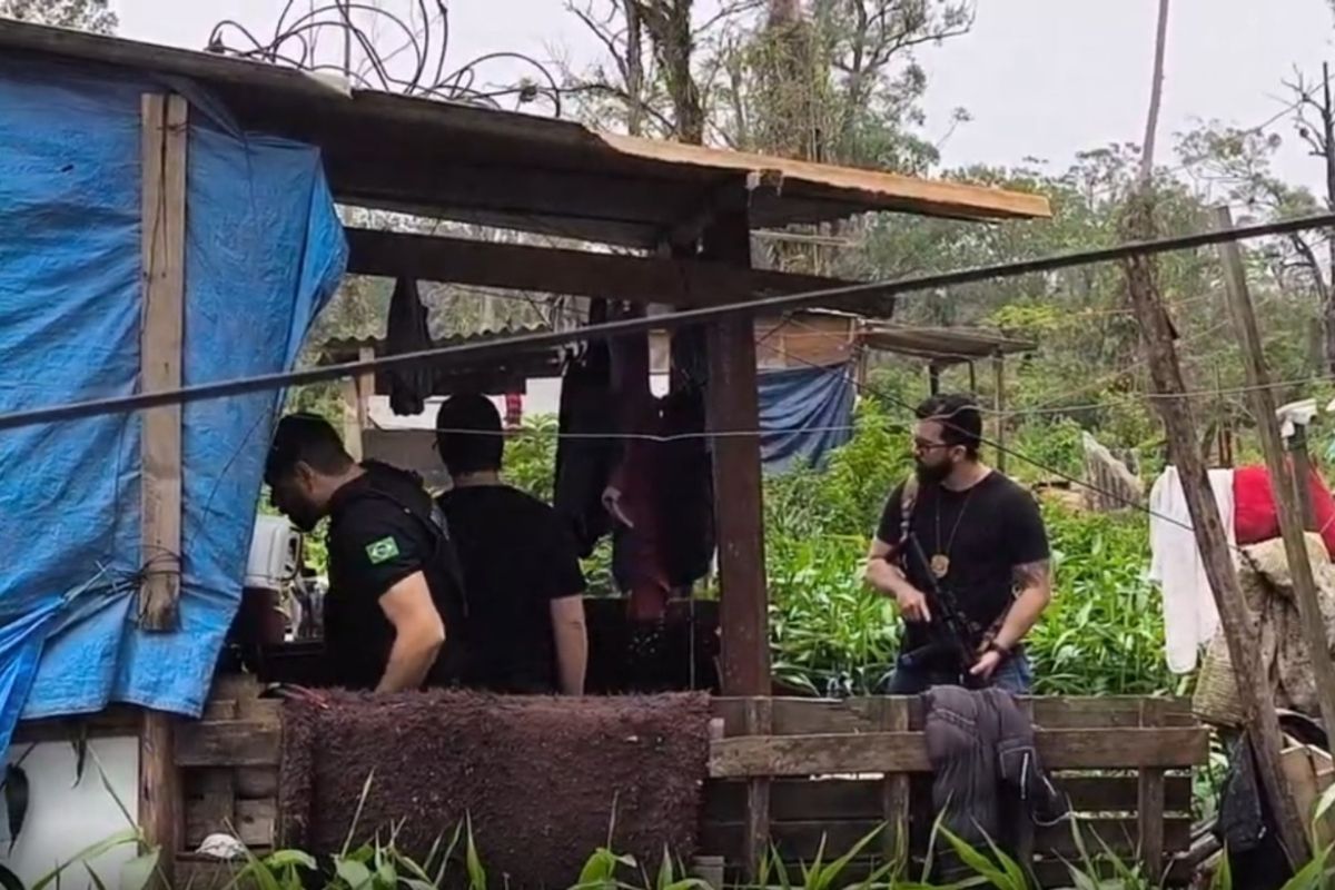 Menina de 2 anos é morta a golpes de martelo pelo irmão enquanto brincava