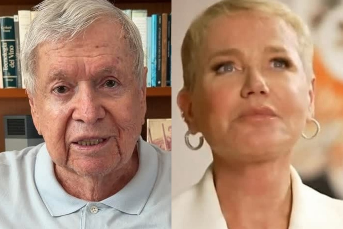 José Bonifácio, o Boni, lembra o fim do Xou da Xuxa e elogia: "Um fenômeno" - QTU Questões do Universo