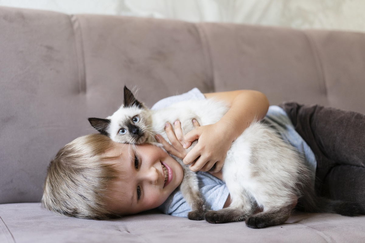 Gato e criança