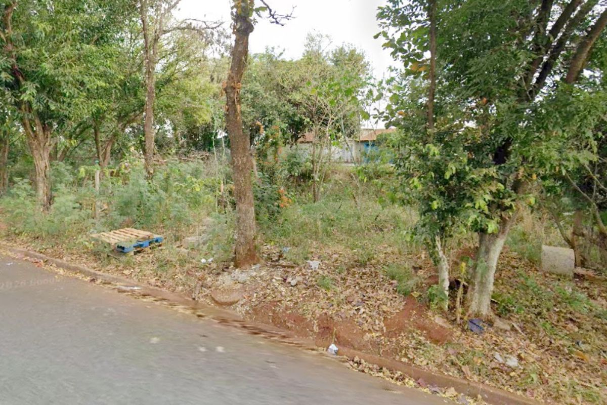 Mulher encontrada gravemente ferida em mata morre no interior de SP