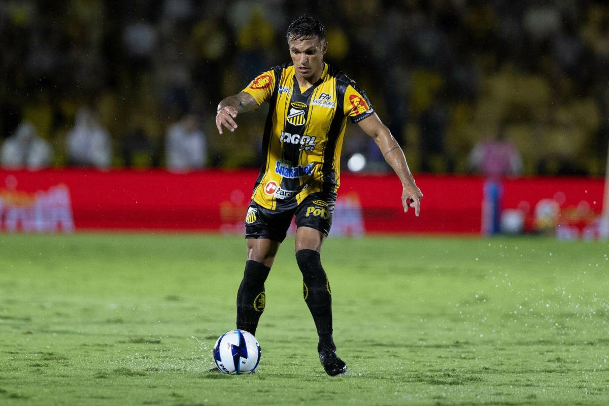 Palpite Botafogo-SP x Novorizontino - Série B - 09/09/26