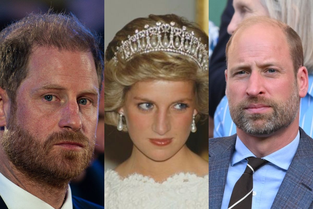 Novo projeto de Harry sobre Diana gera incômodo em William, diz jornal