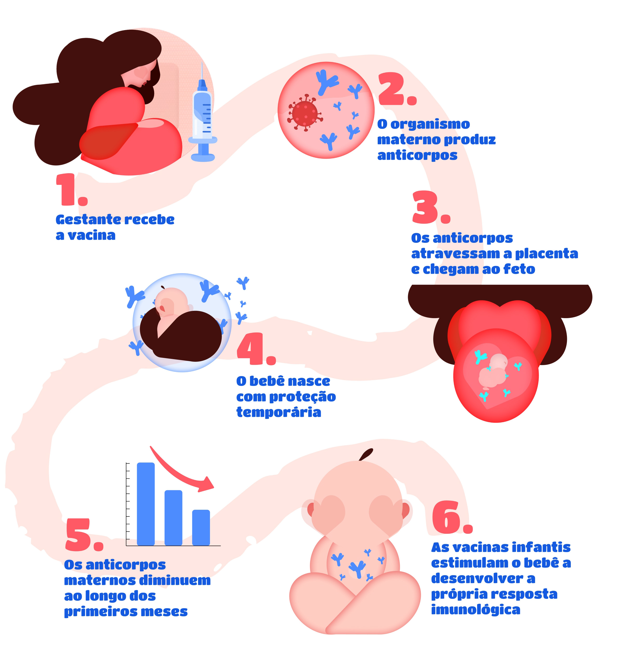 Ilustração colorida com informações sobre vacinação de gestantes e proteção para o bebê. - Metrópole.s