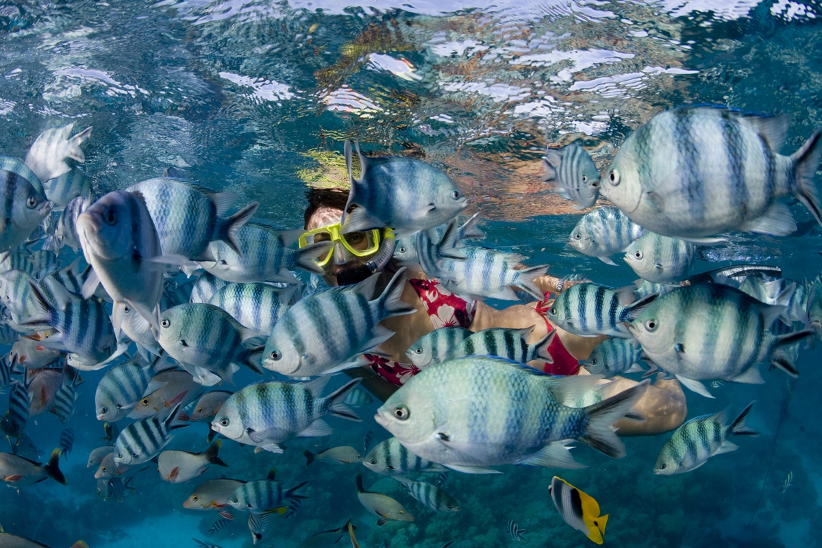 Foto colorida de snorkeling - Metrópoles