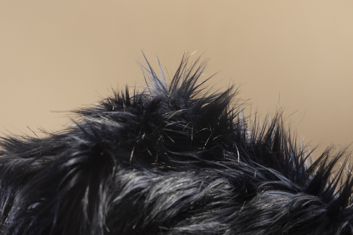 Pelos