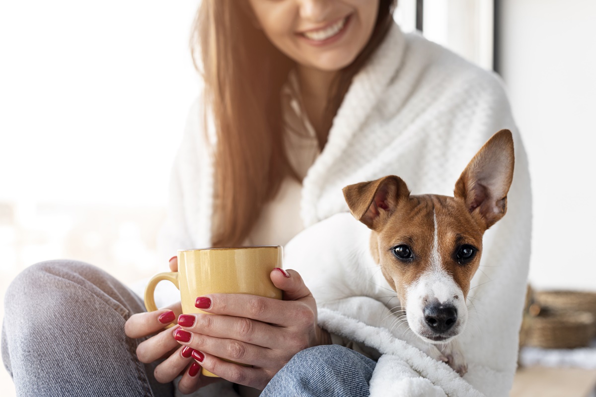 cachorro tomando chá