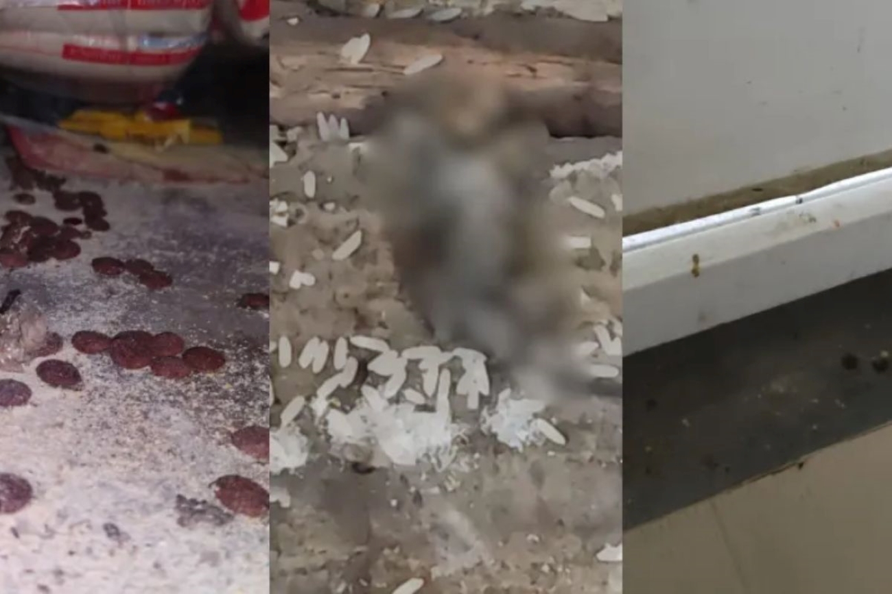 Foto colorida de rato e fezes encontrado em supermercado no Espírito Santo - Metrópoles