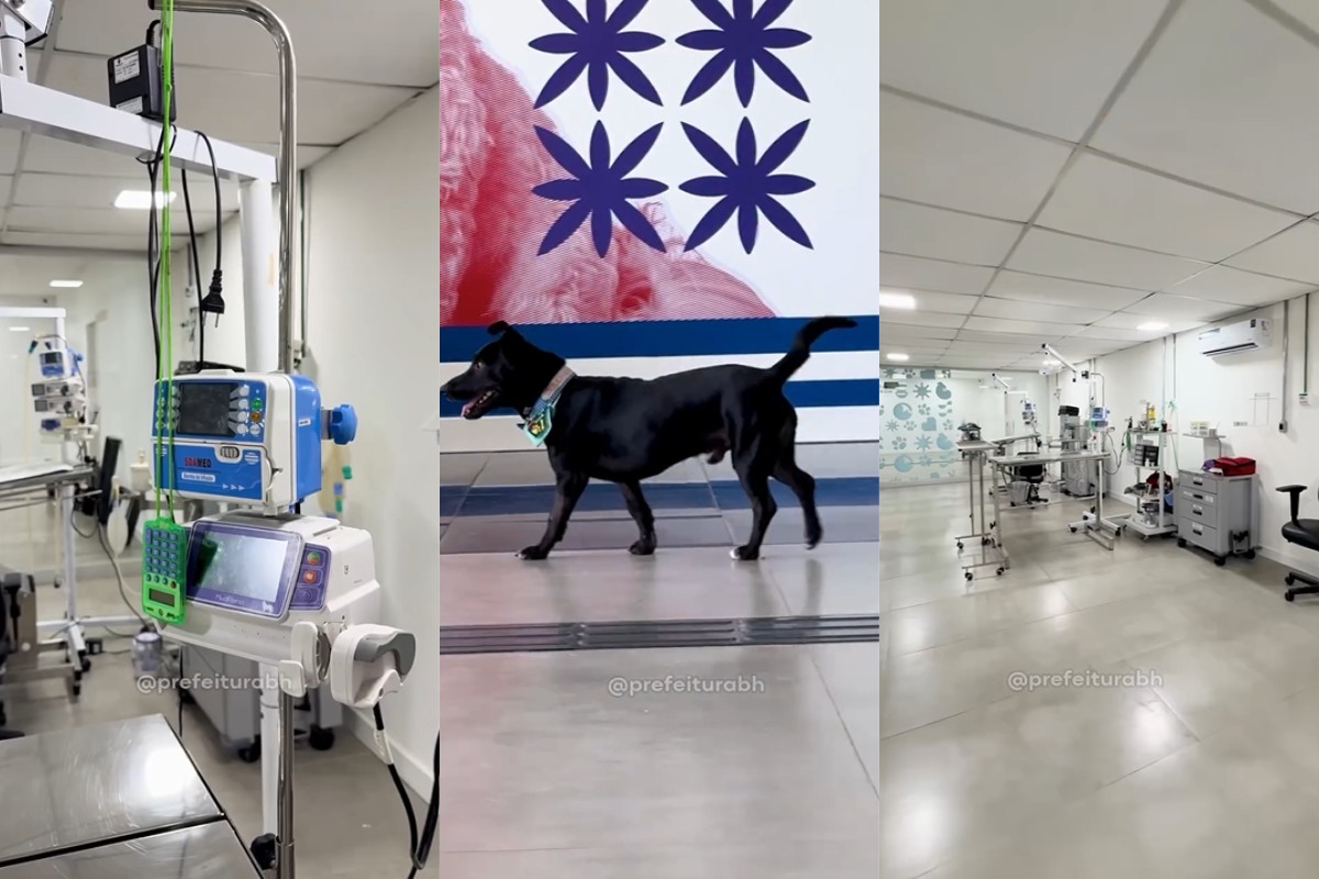 BH abre novo centro veterinário gratuito com UTI e cirurgias; veja detalhes