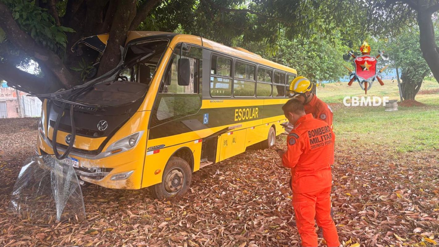 Ônibus escolar com 27 crianças bate em árvore e duas vão para o hospital