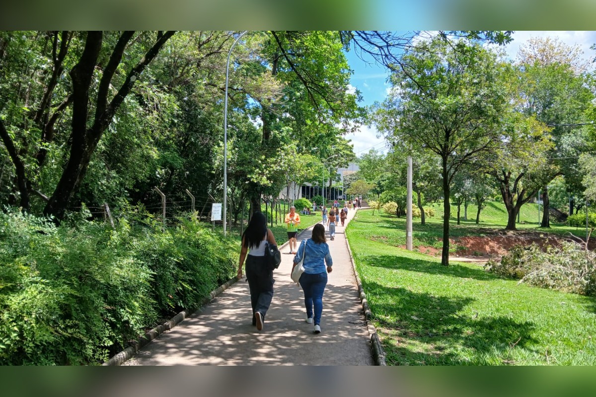 pessoas caminhando