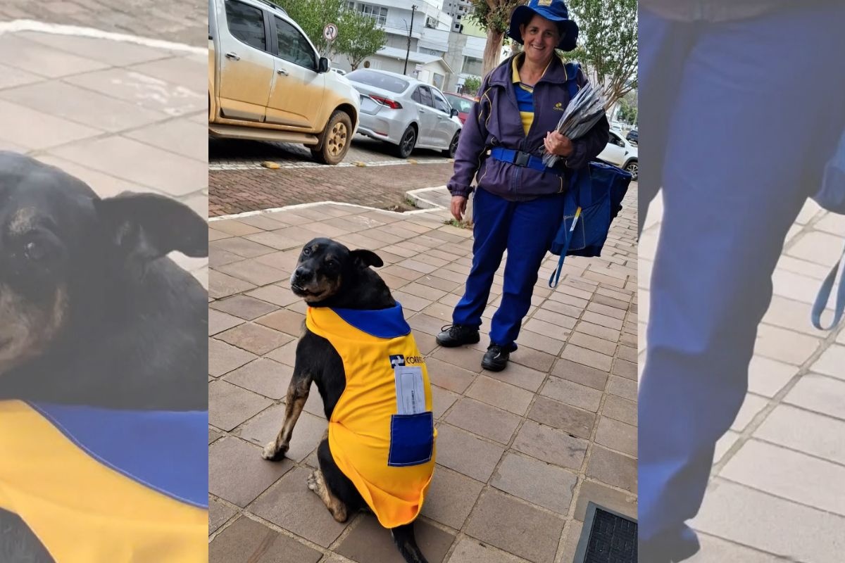 Cachorro ganha uniforme dos Correios após 10 anos acompanhando funcionária
