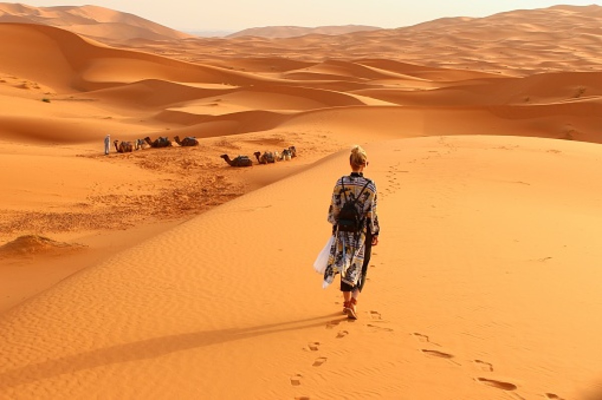 Loyola e o deserto bolsonarista