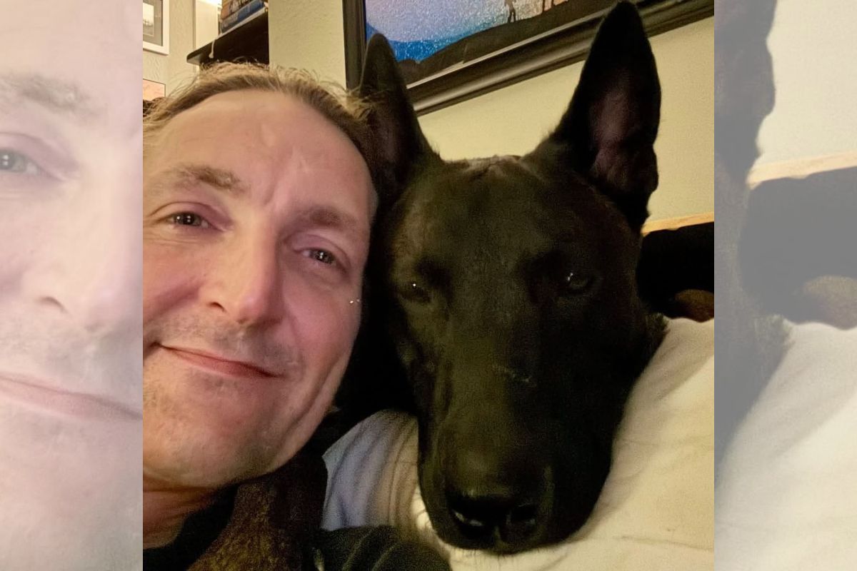Cão tenta superar decisão de eutanásia