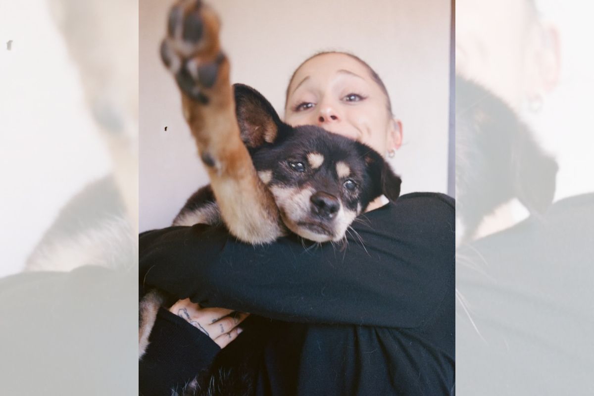 Ariana Grande lamenta morte de pet que marcou sua vida por mais de 17 anos