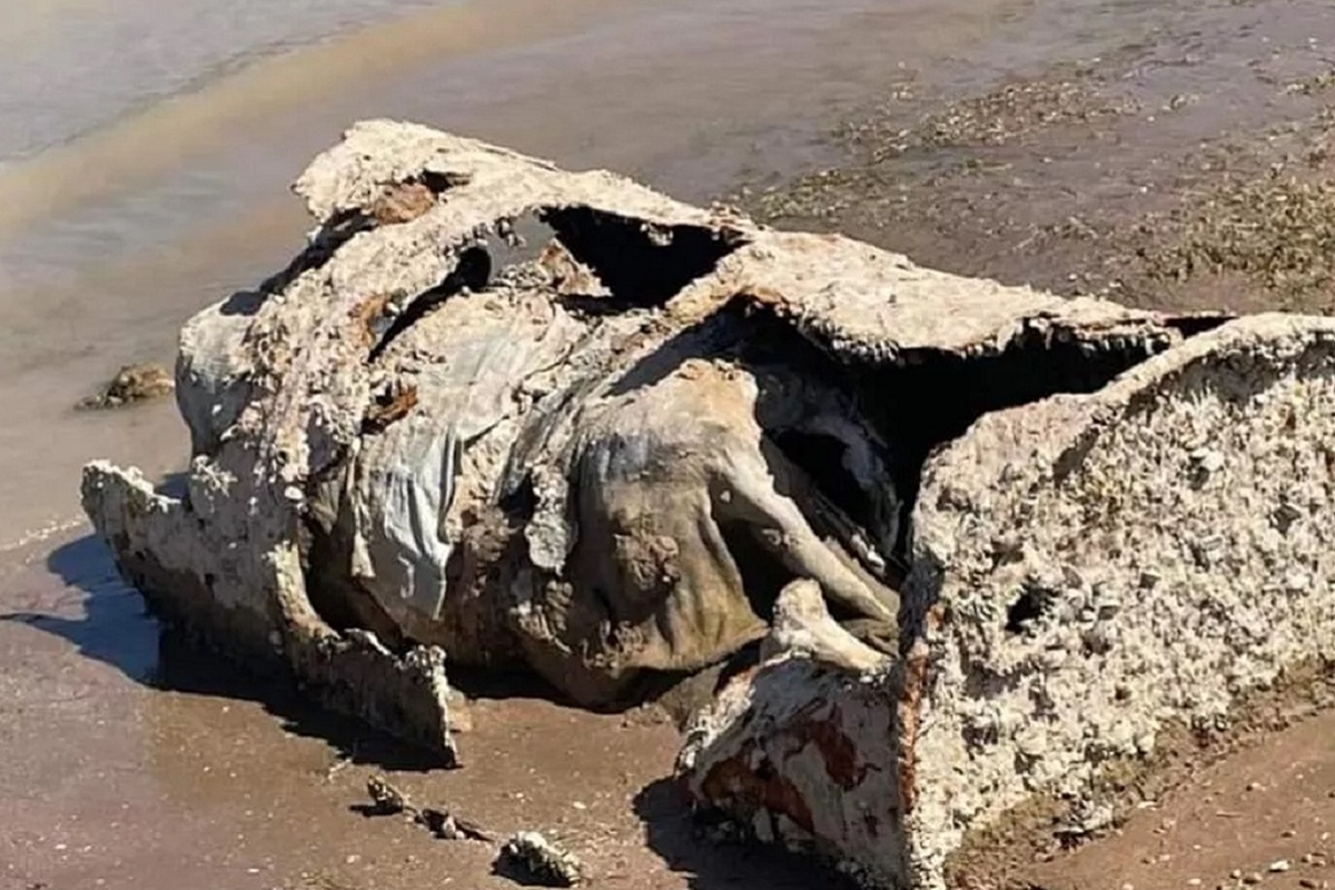 EUA identifica corpo de homem morto em1980 e achado em barril em 2022