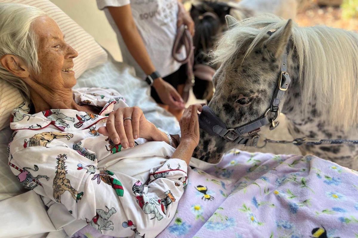 Mulher com câncer terminal realiza último desejo: "Sentir cheiro de cavalo"