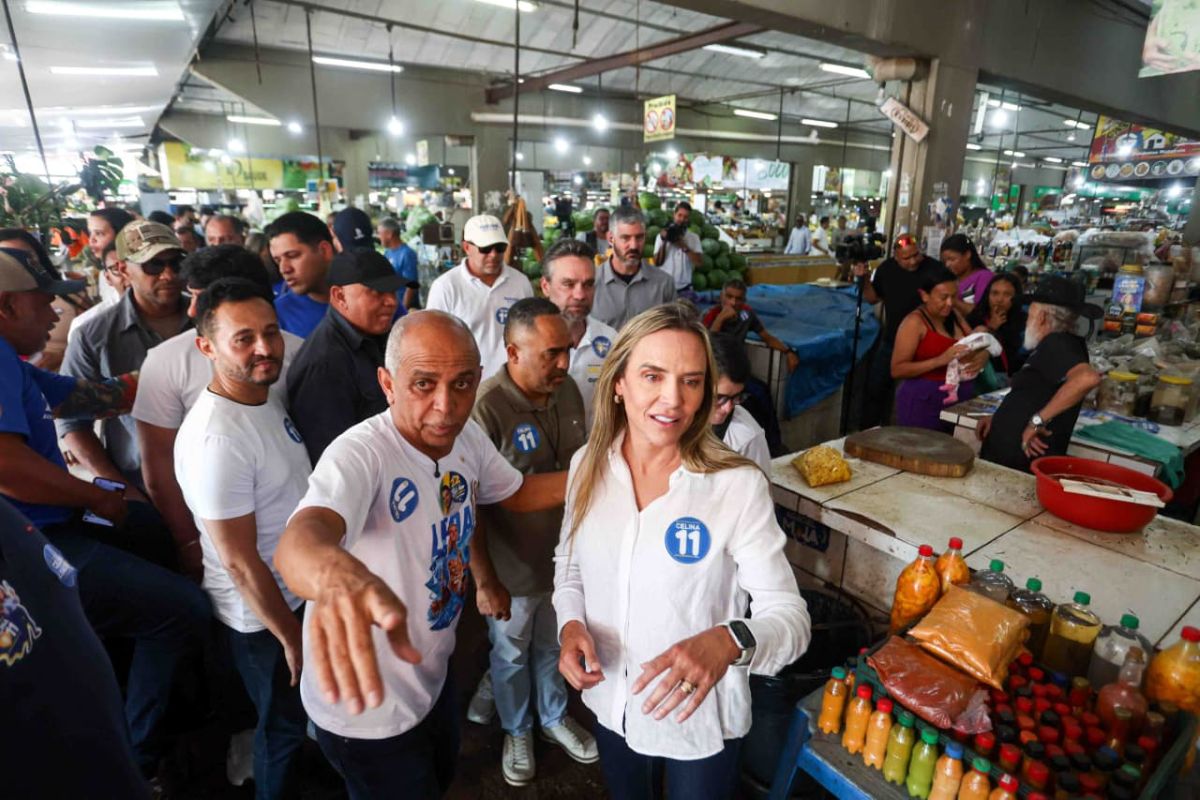 “O PT apelou”, diz Celina sobre cartazes em paradas de ônibus