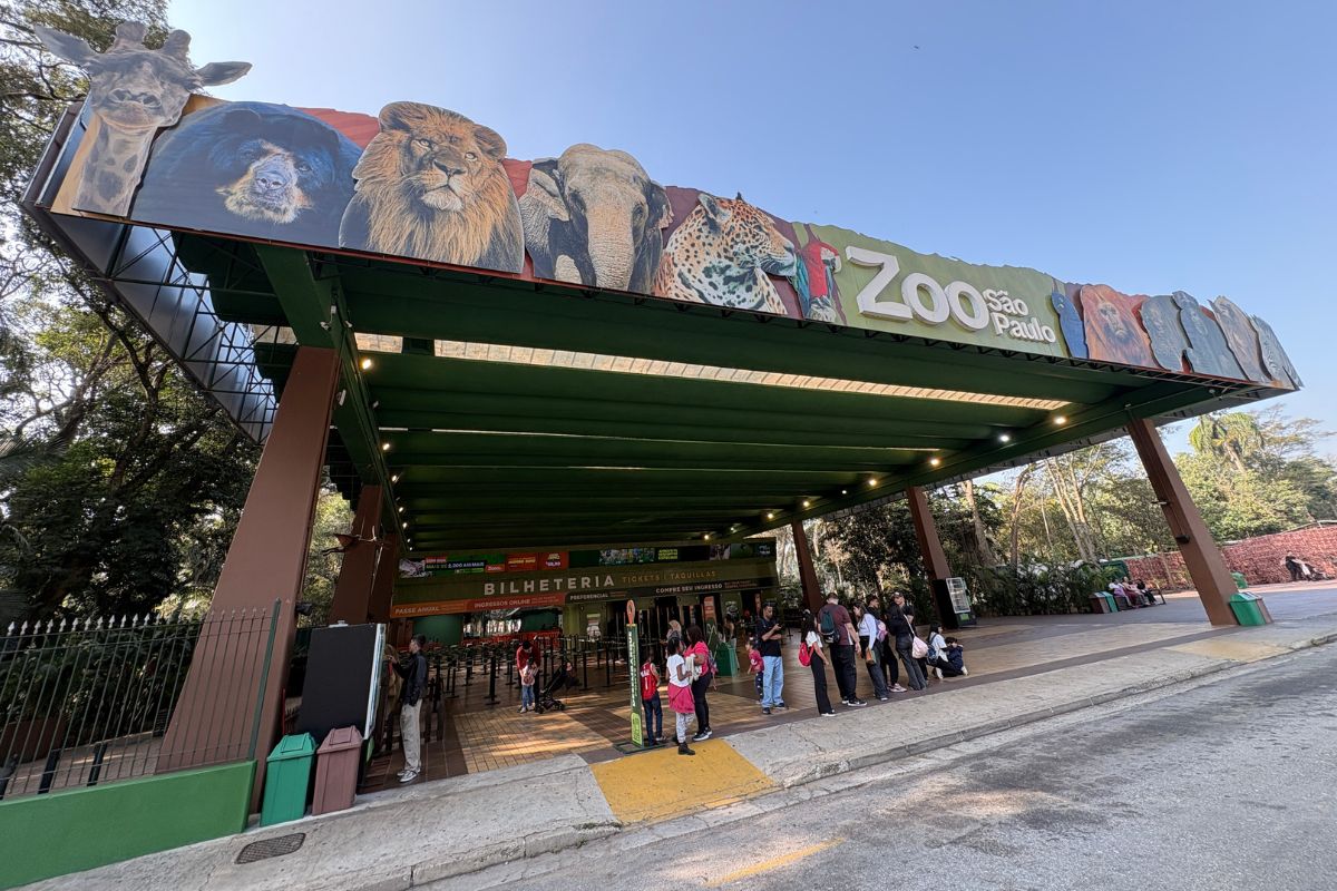 Comprovante de votação garante entrada gratuita no Zoo SP neste domingo