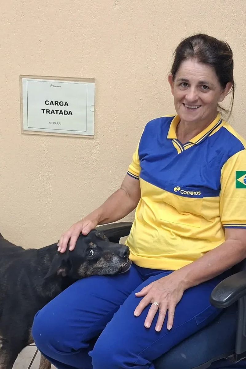 Cachorro