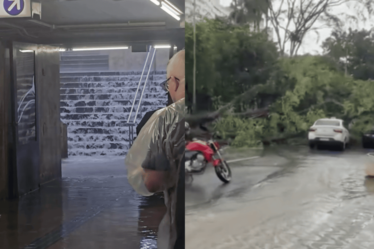 Chuva em SP provoca cachoeira no metrô e queda de árvore sobre carros