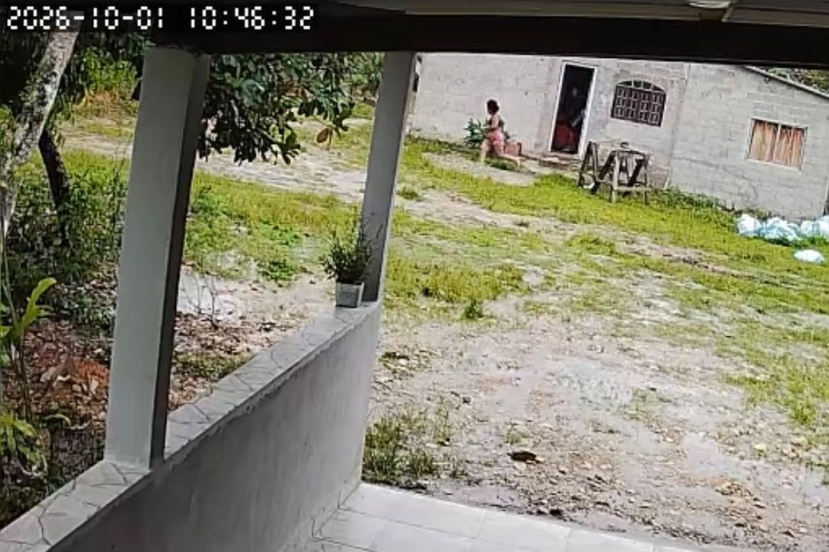 Grávida tentou fugir antes de ser morta com machado pelo padrasto em SP