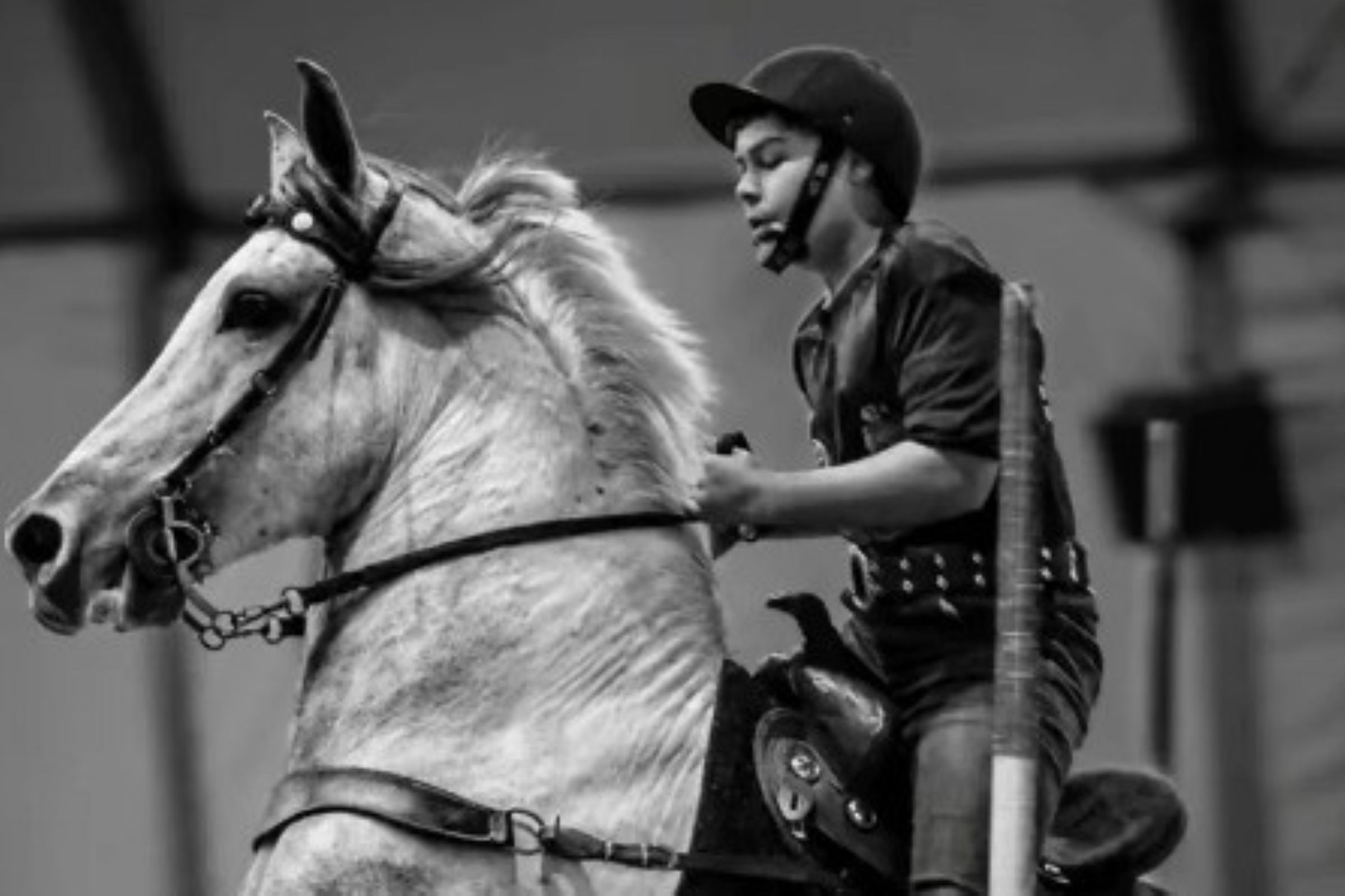 Campeão mirim de hipismo, de 13 anos, morre em acidente no RJ