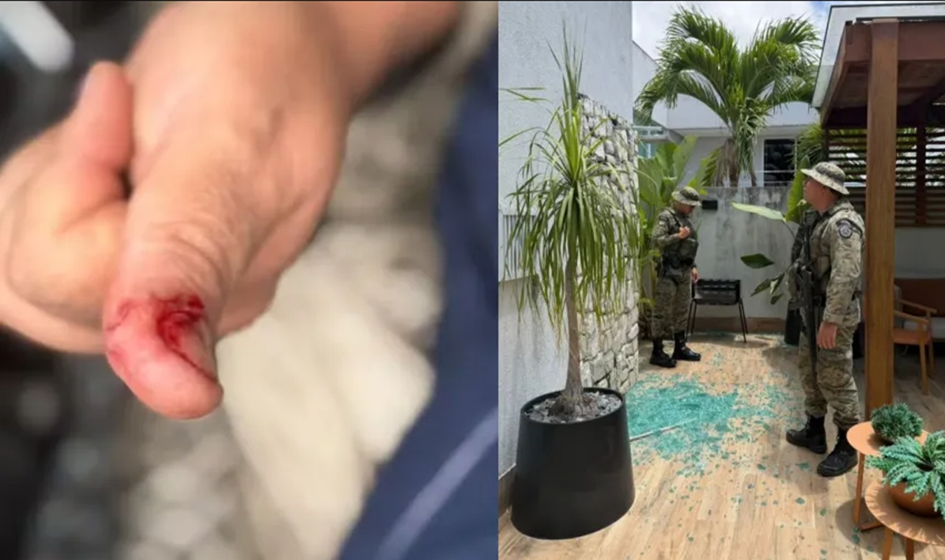 Macaco de ex-deputado foge e causa confusão após beber álcool e remédios