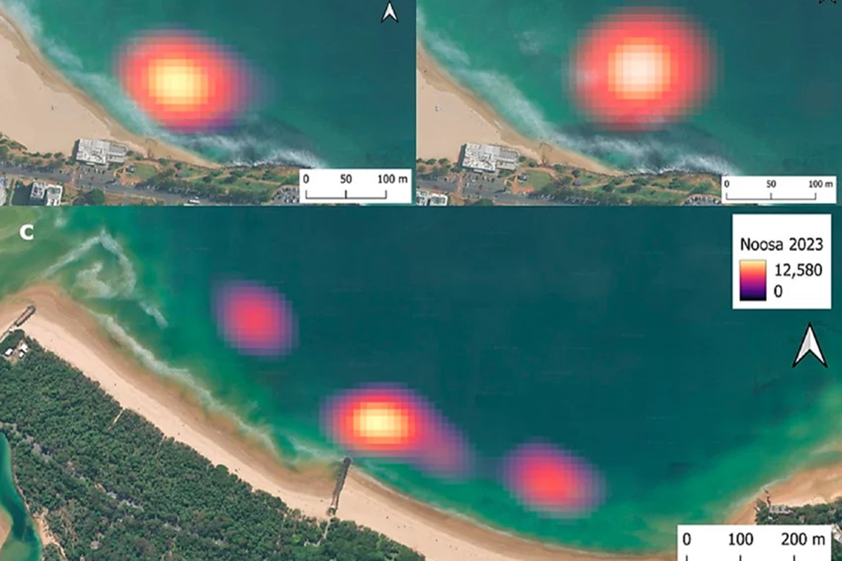 Imagem colorida mostra mapa de calor de tubarões na Austrália - Metrópoles