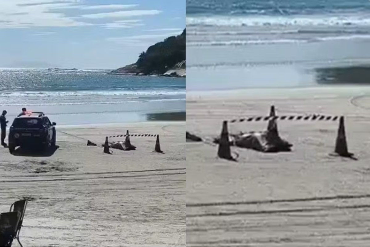 Motorista de app é encontrado morto em praia após 5 dias desaparecido