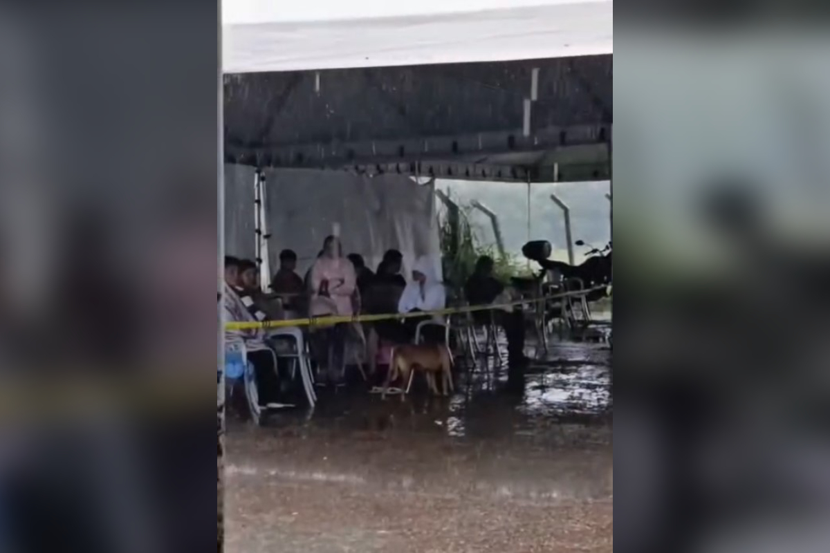Tutores encaram temporal e aguardam atendimento no Hvet sob tenda furada