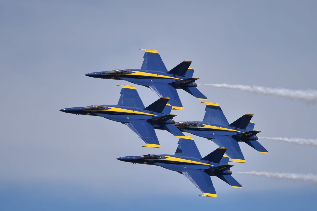 Biomimética: biodiversidade inspira novidades no design de aviões e tecidos
