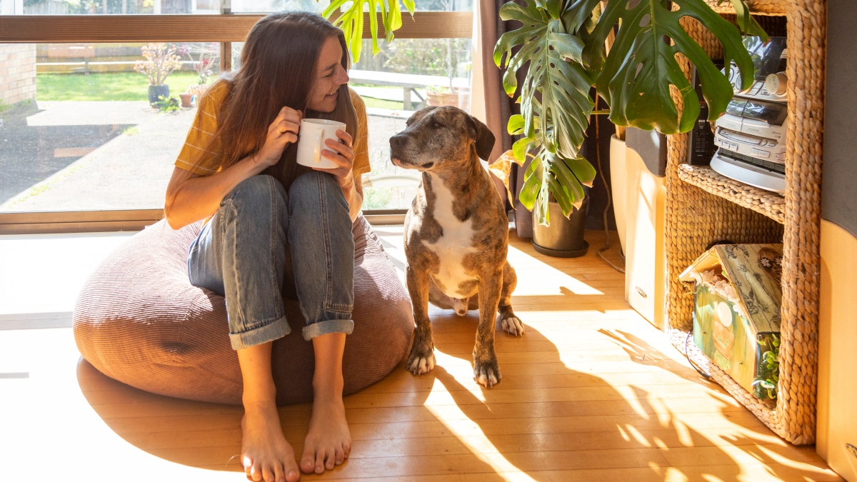 tutora e pet em ambiente com iluminação natural